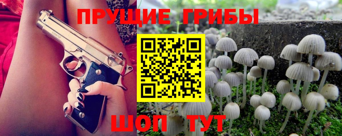 Видное  Псилоцибиновые грибы ЛСД  Вход с VPN 